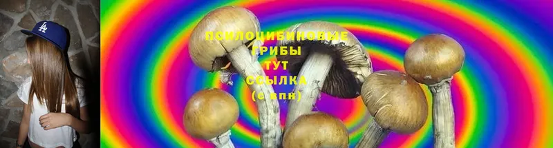 Псилоцибиновые грибы MAGIC MUSHROOMS  OMG рабочий сайт  Инта  где можно купить наркотик 